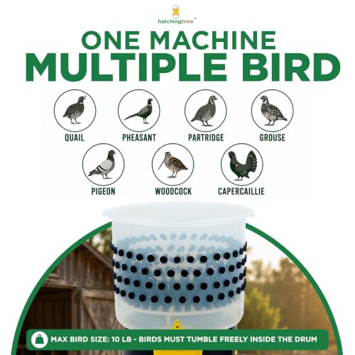 Hatching Time Quail Plucker Machine, 16.2 in ABS Drum, 4-6 Quails - size: 4-6 Quail
