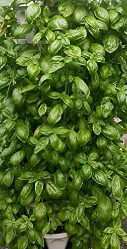 Vertical Garden System (Black)