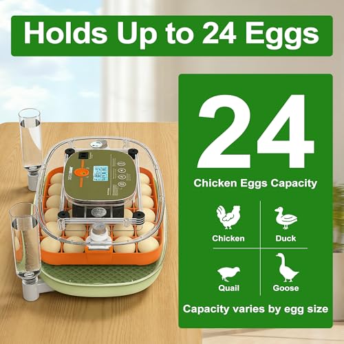 Ovatt 24-Egg Digital Incubator - Automatic Temperature and Humidity Control, LED Display, Automatic Rotation, External Water Refill - Ideal for Incubating Chicken, Duck, Quail, and Goose Eggs