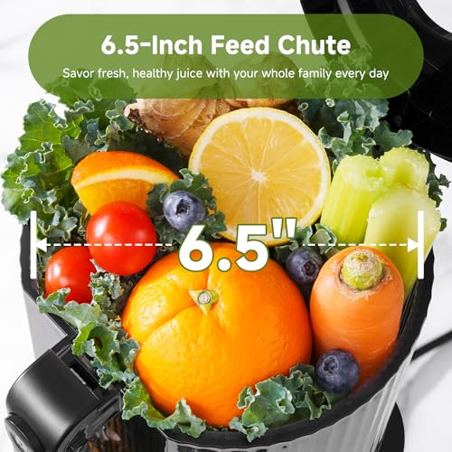 AMZCHEF Cold Press Juicer, 6.5" Whole Fruit Self-Feeding Slow Juicer - color: Silver, size: 6.5 Inch