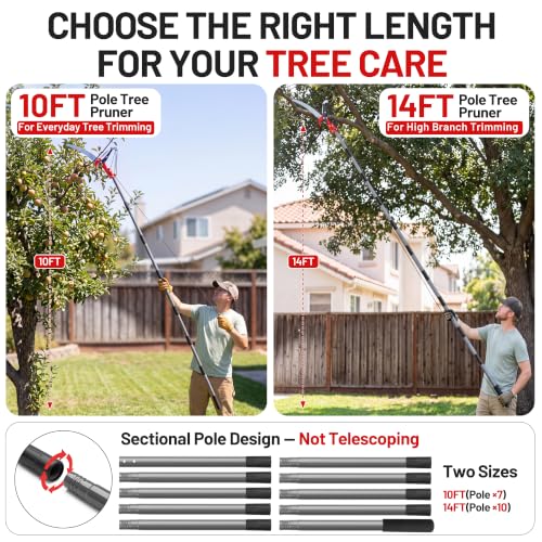 Suchtale Pole Saw for Tree Trimming, 2-in-1 Manual Tree Pruner with Saw - size: 10FT