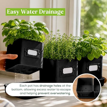 volila Herb Planter Indoor - Set of 3 Black Indoor Herb Garden Pots for Plants with Leather Handled Tray - Window Sill Plant Shelf - Herb Pots with Drainage Holes and Labels - color: Black