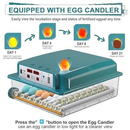 64 Egg Incubators for Hatching Eggs,Incubator with Automatic Egg Turning and Humidity,Chicken Incubator with 5 Automatic Incubate Mode,Poultry Egg Incubator with Incubate Day Counter and Egg Candler