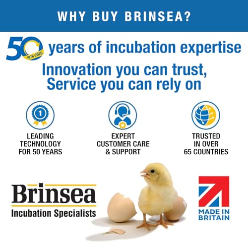 Brinsea Ovation 56 Advance Egg Incubator, Auto Turning & Humidity Display - size: 56 Eggs