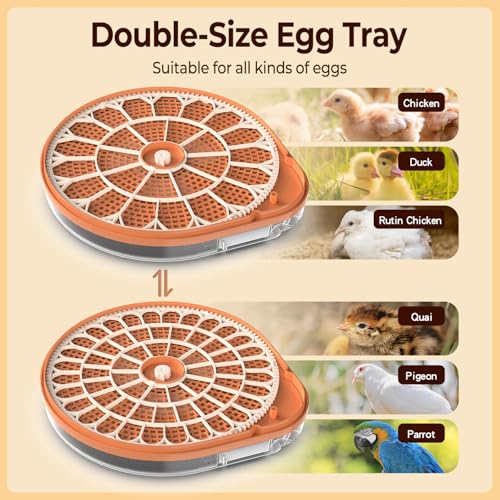 HOWOOlUA 26 Egg Incubator for Hatching Eggs withAuto Turn, Temp & Humidity Control, Built-in CandleLarge Capacity Egg Incubator for Chicken Duck Goose Eggs - size: 26-EGGS
