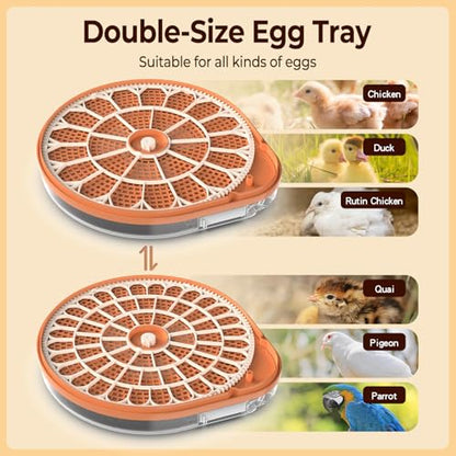 HOWOOlUA 26 Egg Incubator for Hatching Eggs withAuto Turn, Temp & Humidity Control, Built-in CandleLarge Capacity Egg Incubator for Chicken Duck Goose Eggs - size: 26-EGGS