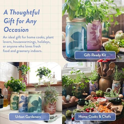 Modern Sprout Mason Garden Jar - Self-Watering Hydroponics Kit - Lavender - color: Lavender, size: Garden Jars
