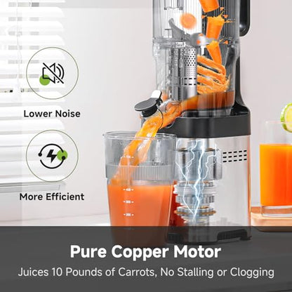 AMZCHEF Cold Press Juicer, 5.4" Whole Fruit Self-Feeding Slow Juicer - color: Silver, size: 5.4 Inch