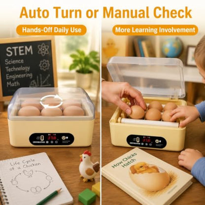 GROZY 6 Eggs Egg Incubator, USB Powered Automatic Hatching Machine with Digital Temperature Control & LED Display, Mini Poultry Hatcher for Chicken, Duck, Quail, Pigeon Eggs