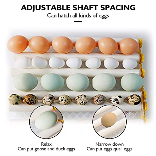 Egg Incubator,Egg Incubator with Automatic Egg Turning and Humidity Control,Poultry Hatcher for Chickens Ducks Birds (56 Eggs) - size: 56 Eggs