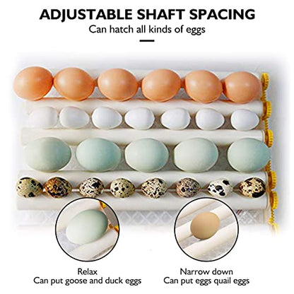 Egg Incubator,Egg Incubator with Automatic Egg Turning and Humidity Control,Poultry Hatcher for Chickens Ducks Birds (56 Eggs) - size: 56 Eggs