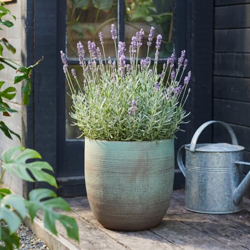 Creative Co-Op Matte Aqua Green Textured Stoneware Planter - color: Mint