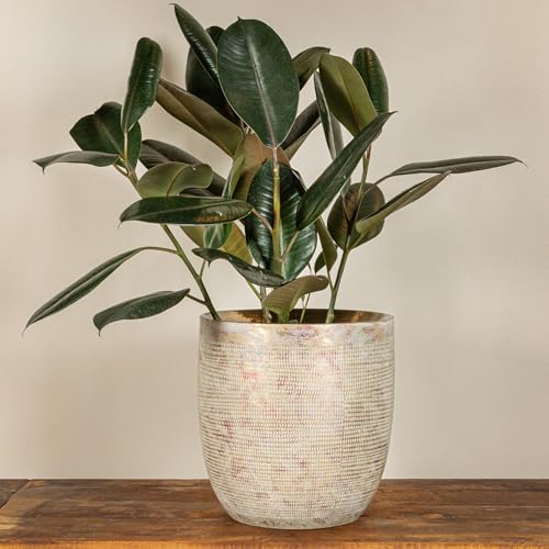 Creative Co-Op Embossed Textured Stoneware Planter, Metallic Gold - color: Metallic Gold