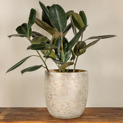 Creative Co-Op Embossed Textured Stoneware Planter, Metallic Gold - color: Metallic Gold