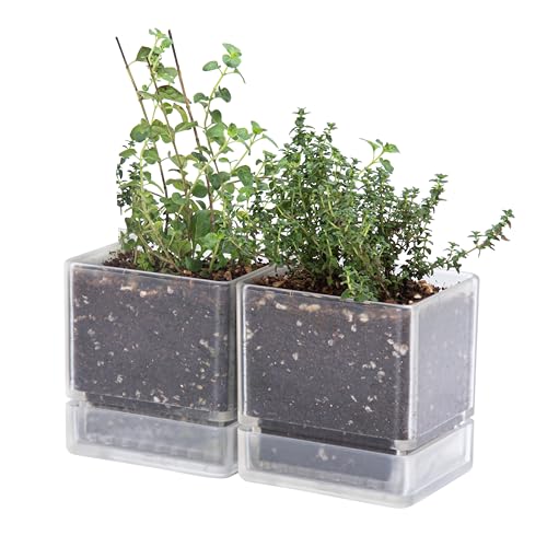 D'vine Dev 2-Pack Acrylic Herb Planter Pots, 4 in, Clear, 76-Y-D-1 - color: Clear, size: 8 Inch x 4.5 Inch