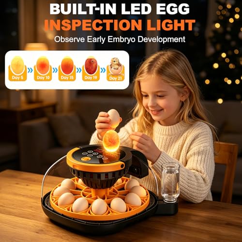 12-Egg Incubator for Hatching Chicken Eggs with WiFi Camera and Auto Turner