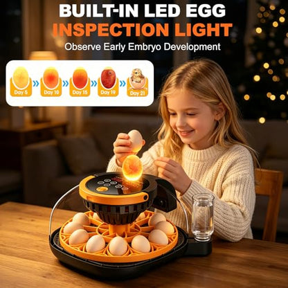 12-Egg Incubator for Hatching Chicken Eggs with WiFi Camera and Auto Turner