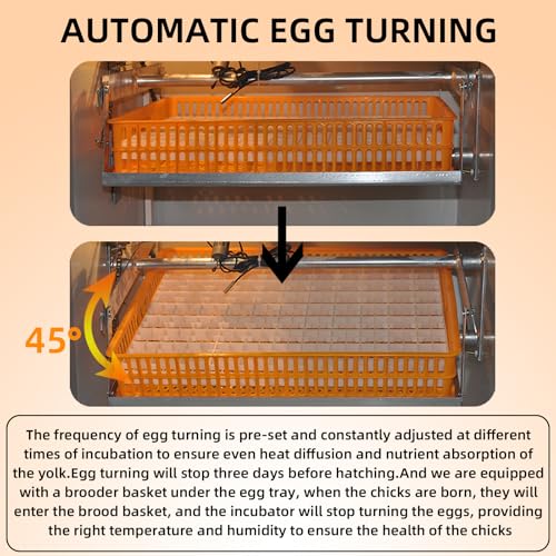 XKV 440 Egg Large Incubator with Automatic Egg Turning,with Viewing Window - size: 440 Egg-265L