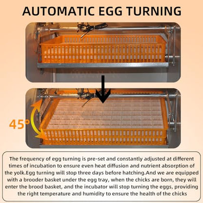 XKV 88 Egg Large Incubator with Automatic Egg Turning,with Viewing Window - size: 88 Egg-152L