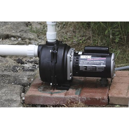 Wayne WLS200 2 HP Cast Iron High Volume Lawn Sprinkling Pump, 2-Horsepower, Green - style: 2HP