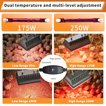 250W Chicken Coop Heat Lamp with Guard & Adjustable Temp - size: 1 Pack