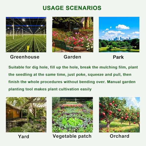 Seedling Transplanting Bulb Planter Tool Long Handle, Vegetable Young Plant Manual Plant Transplanter, Stainless Steel Planting Garden Tools with Pedal for Garden, Greenhouse-2pc