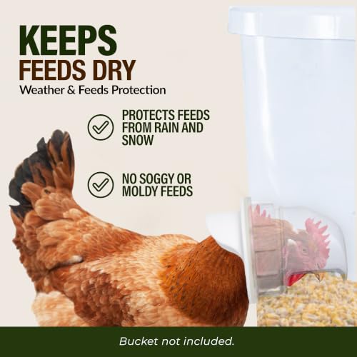 Poultry Pro DIY Chicken Feeder Kit, Weatherproof, 3 Ports & Hole Saw - style: Original Feeder 3 Pack