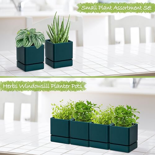 D'vine Dev 4-Pack Plastic Herb Planter Pots, 4 in, Green, 76-Y-C-1 - color: Green, size: 16 Inch x 4.5 Inch