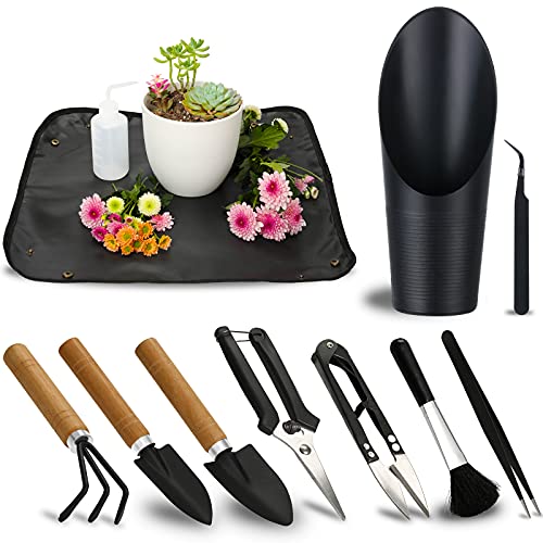 11Pcs Succulent Tools, Mini Garden Tools, Plant Repotting Set(No Flowerpot) - style: Abundant Garden Tools