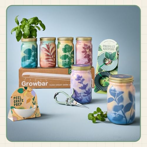 Modern Sprout Mason Jar Herb Garden Kit Indoor - color: Ultimate Herb Garden Set