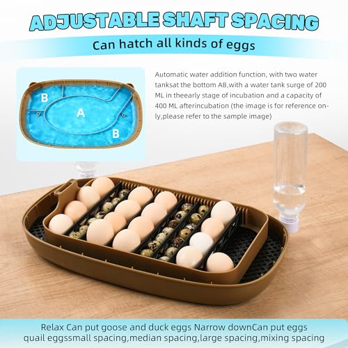 24 Eggs Incubator with Auto Water Refill & Humidity Control, Automatic Egg Turner, Built-in LED Candler, Species Pre-Programs for Chicken Duck Quail Turkey — Beginner Friendly