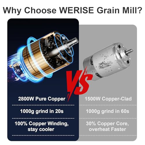 Electric Grain Mill Grinder Flour, 1000g Corn Fine Powder Grinder - size: 1000g