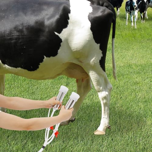 Goat Milking Machine, 14L/3.7Gal Stainless Steel Bucket, Electric Automatic Pulsation Vacuum Milker, Portable Cow milker Machine with 2 Teat Cups, Adjustable Vacuum Pressure (35-45 kPa) (14L) - size: 14L