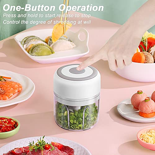 Electric Garlic Chopper, 250ML Vegetable Chopper, Food Chopper - color: 250ML White