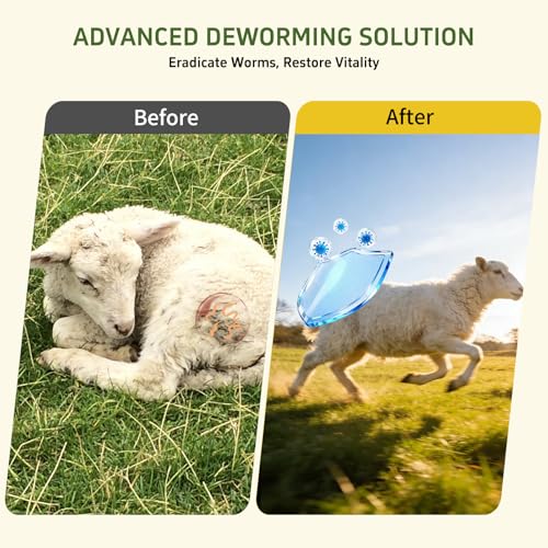 Dewormer for Beef, Dairy Cattle and Goats, Fenbendazole 10% Oral Suspension