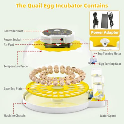 Quail Egg Incubator for Hatching 40 Quail Eggs with Automatic Turner - color: Yellow
