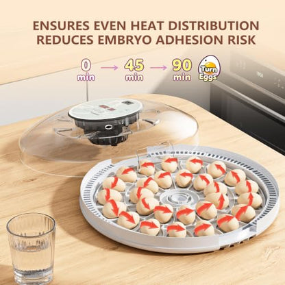 28 Egg Incubator with Auto Egg Turner, Duck Goose Egg Trays Hatcher