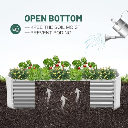 Land Guard 2 Pack 6×3×2 ft Galvanized Metal Raised Garden Bed, 2FT Deep Root Elevated Planter Box Steel Large Vegetable Flower Bed Kit, Silver