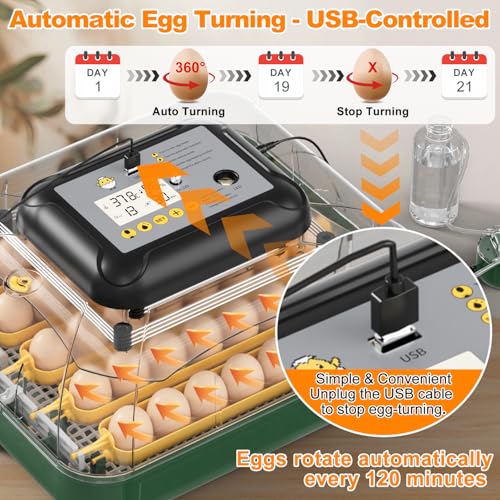 30 Egg Incubator for Hatching Eggs with Auto Egg Turning, High Precision Temperature & Humidity Display, Hatch Day, Egg Candler, Incubator for Hatching Chickens, Higher Hatch Rate