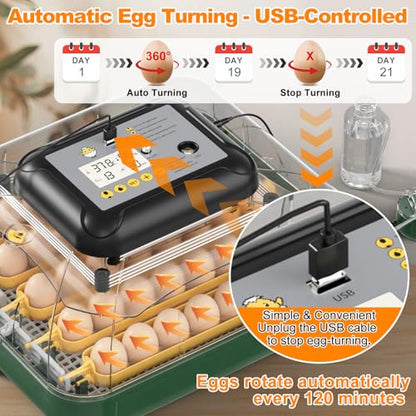30 Egg Incubator for Hatching Eggs with Auto Egg Turning, High Precision Temperature & Humidity Display, Hatch Day, Egg Candler, Incubator for Hatching Chickens, Higher Hatch Rate