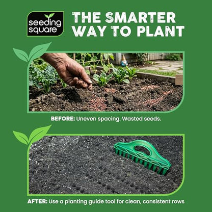 Row Seeder Tool for Precise Seed and Seedling Spacing in Trays and Gardens.