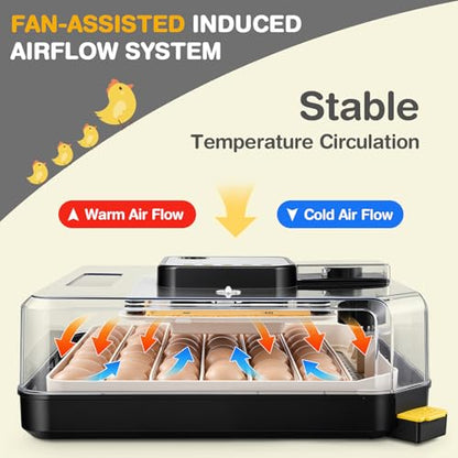 Sailnovo 48 Egg Incubator for Hatching Eggs,Ideal for Farm/School/Lab,Grey - color: Grey