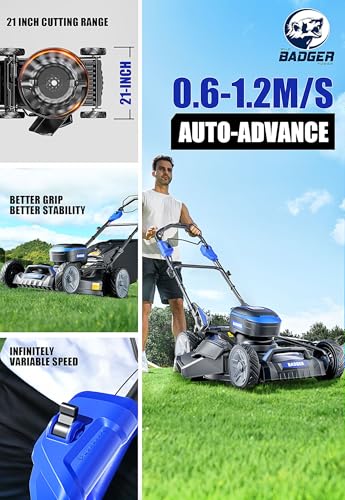 Wild Badger Power 40V 21-in Cordless Self-Propelled Lawn Mower, 2 Batteries - style: 40V 21" Self Propelled