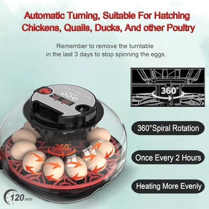 12 Egg Incubator with Auto Turner, Built-in Candler & Humidity Display - size: 12 Egg