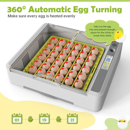 Egg Incubator for Hatching Chick, 36 Eggs Automatic Temp & Humidity Control - color: SXY-Eg36