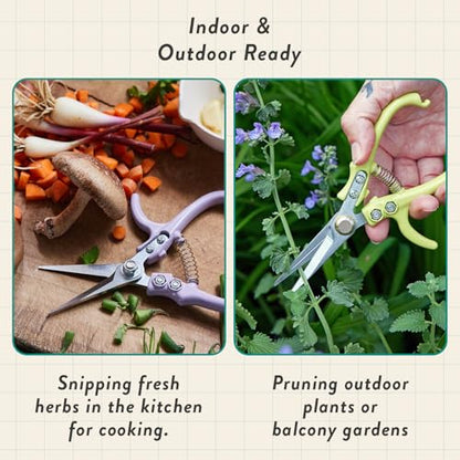 Modern Sprout Hydroponic Grow + Harvest Bundle - color: Basil Garden Jar + Sage Shears