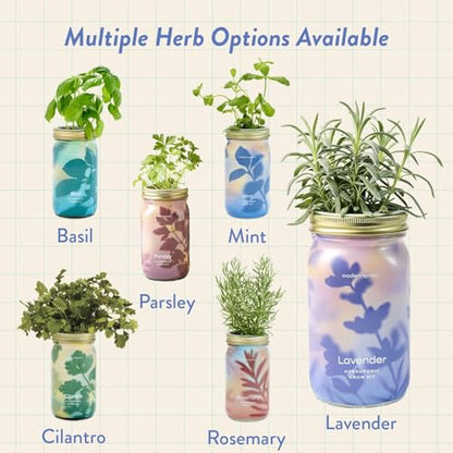 Modern Sprout Mason Garden Jar - Self-Watering Hydroponics Kit - Lavender - color: Lavender, size: Garden Jars
