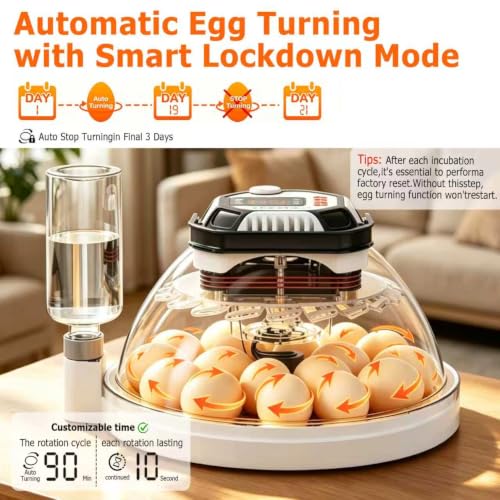 Egg Incubators for Hatching Eggs, Temperature&Humidity Control