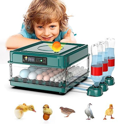 Intelligent Poultry Incubator - 38 Eggs, Automatic Turner & Temperature Control for Hatching Chicken, Quail, Bird & Duck Eggs