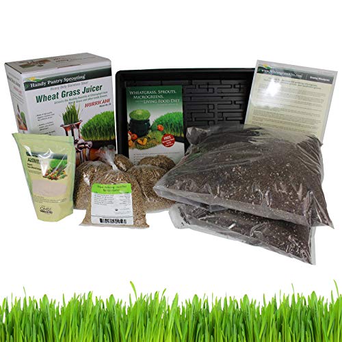 Handy Pantry Organic Wheatgrass Growing Kit w/Hurricane Stainless Steel